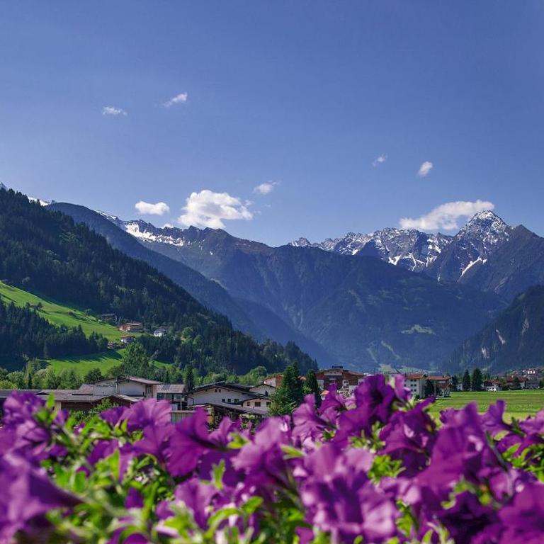 Villa Haidacher Relax & Lifestyle Apartments - Standard One-Bedroom Apartment with Balcony - 12
