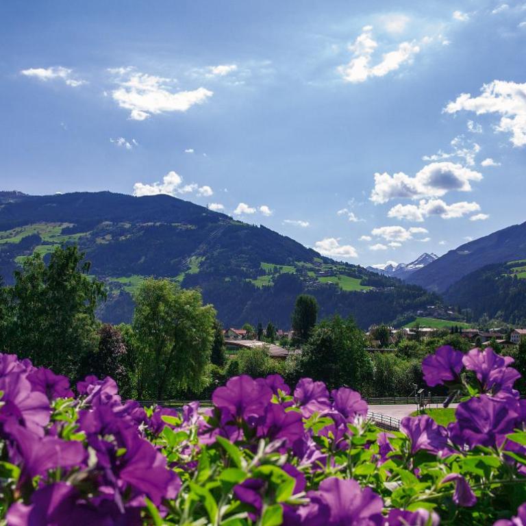 Villa Haidacher Relax & Lifestyle Apartments - Duplex Apartment with Balcony - 11