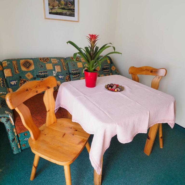 Haus Winkler - One-Bedroom Apartment (2 Adults + 1 Child) - 4