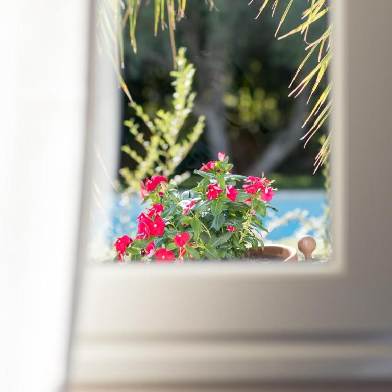 Villa Silva - IsulaTravel - Villa con Piscina Privata - 24