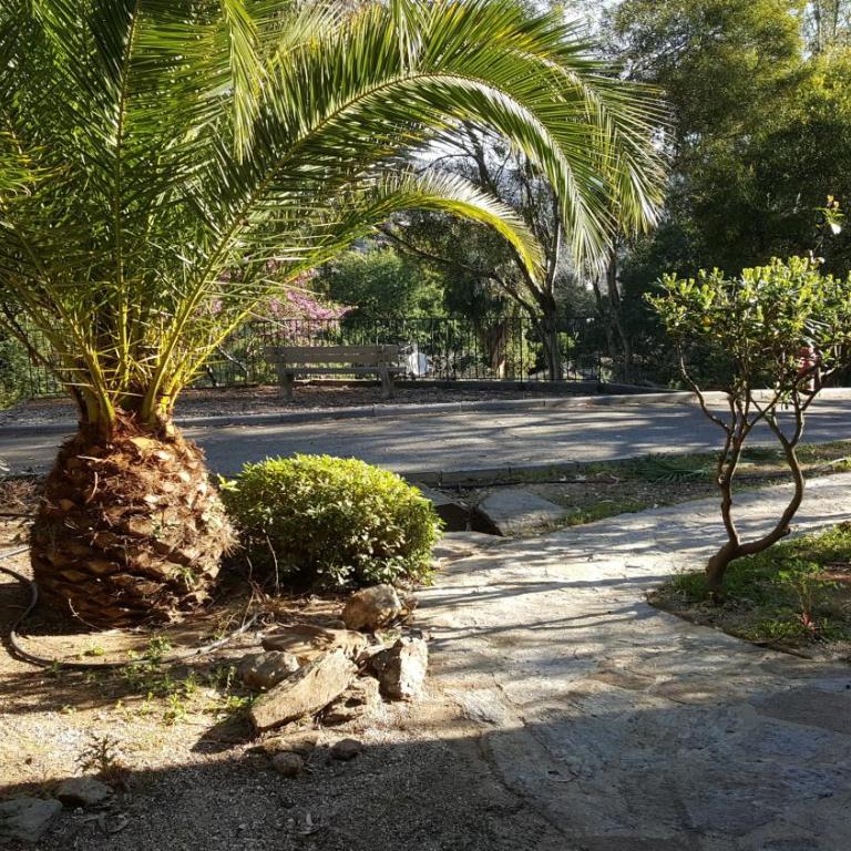 Domaine de la pinède Le Lavandou Pramousquier - Appartement 2 Chambres - 19