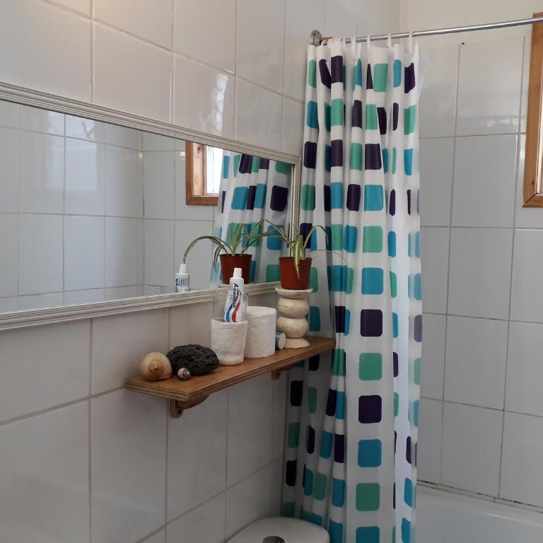 departamento valdivia - Apartamento de 1 dormitorio - 46