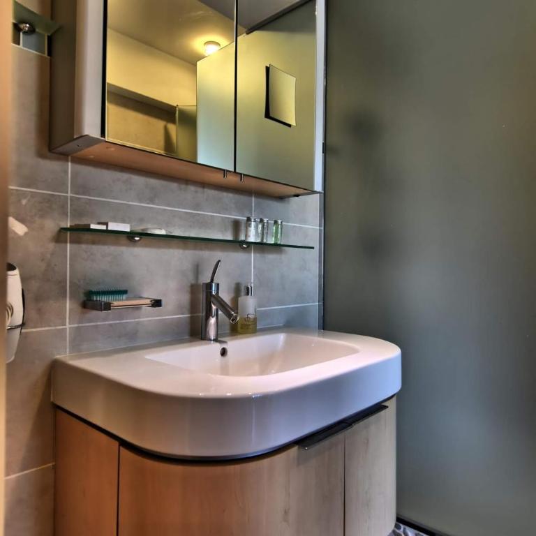 eiffel tower studio lacoste - Appartement 1 Chambre - 12