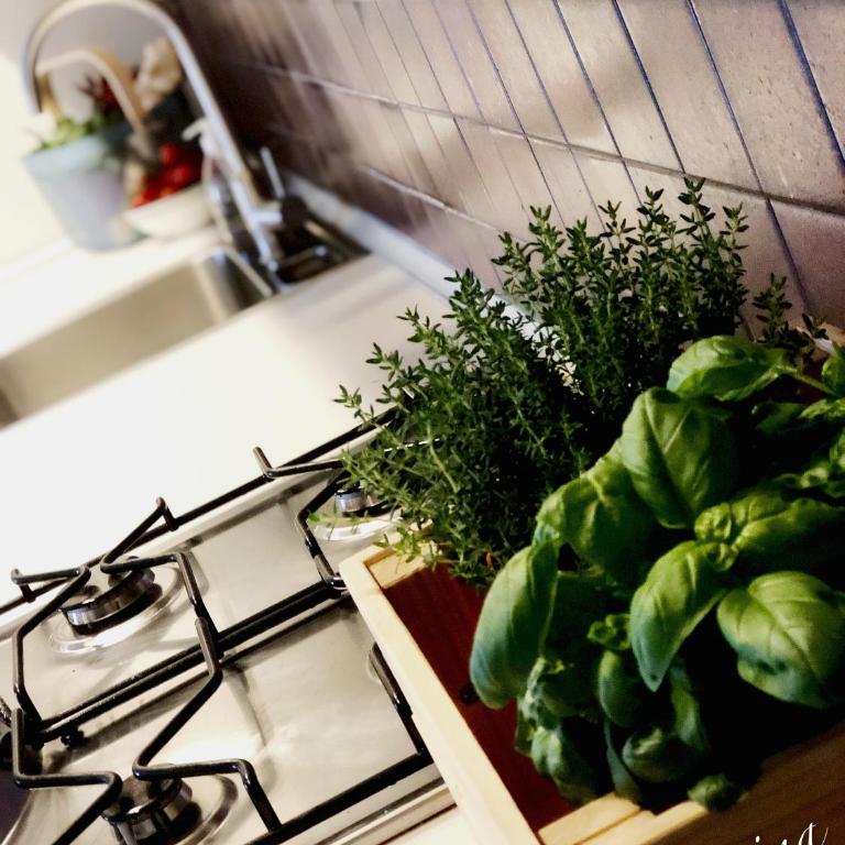 Colourful Living - Appartamento con 2 Camere da Letto - 11