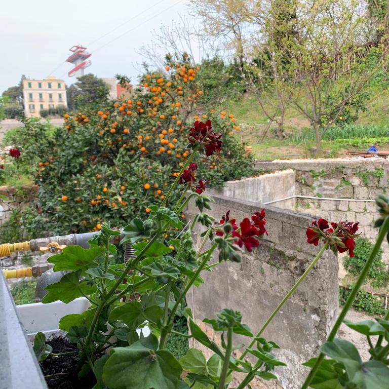 Sweet Home QuiSiSana - Casa Vacanze - 43