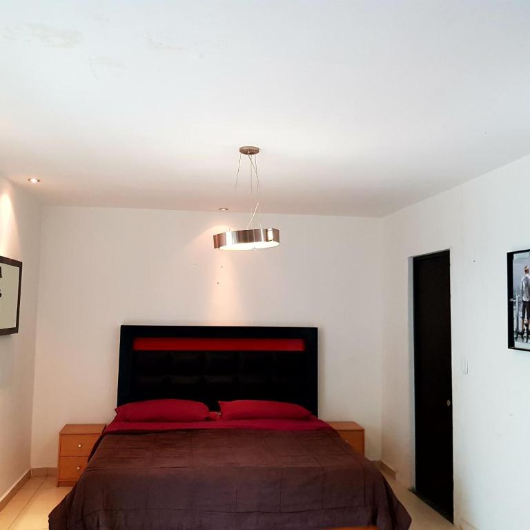 Contry La Silla Apartments zona tec - Nuevo Sur - Apartment - Ground Floor - 4