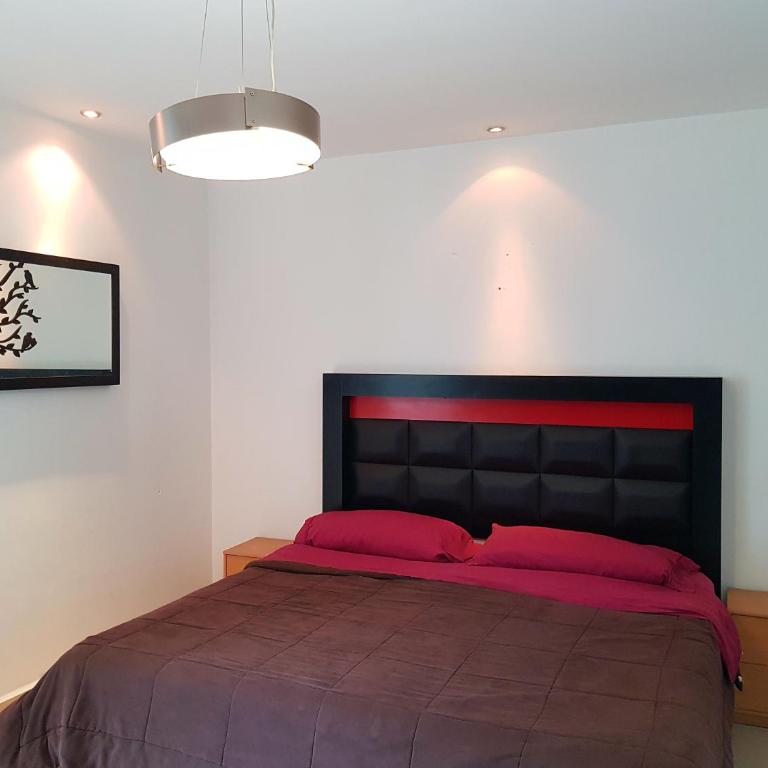 Contry La Silla Apartments zona tec - Nuevo Sur - Apartment - Ground Floor - 5