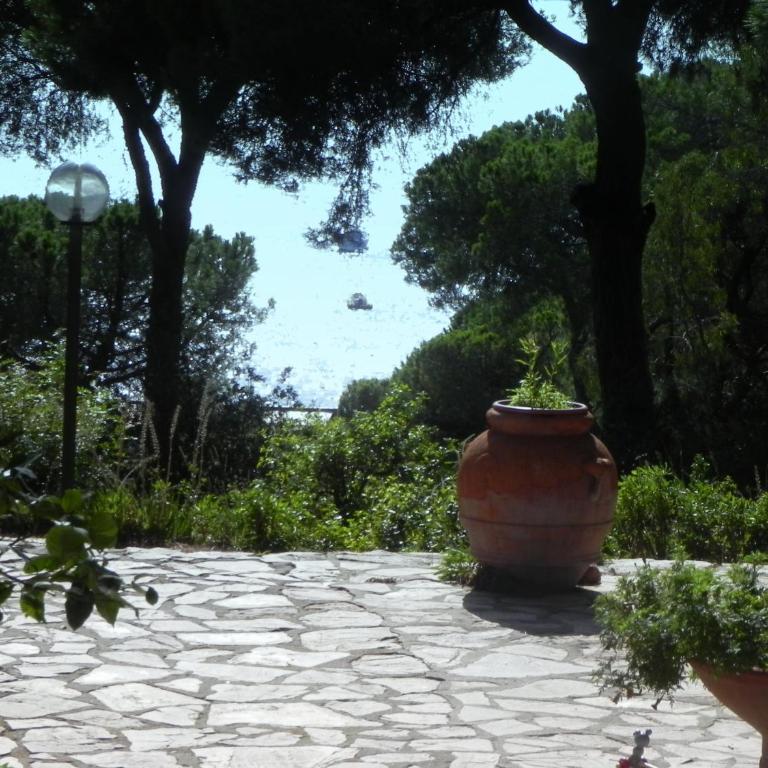 Villetta e Apt. Silvia by Agenzia SolturElba - Casa Vacanze - 14