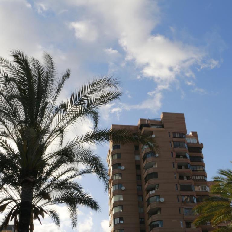 Sur Suites Palmeras 2 - Apartamento de 2 dormitorios - 22
