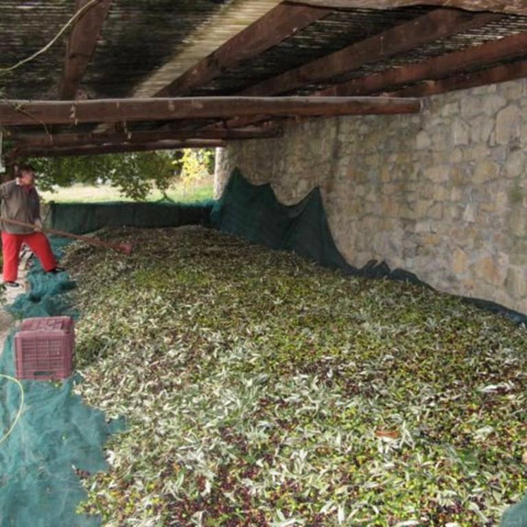 La Pergola - Appartamento con 2 Camere da Letto - 23