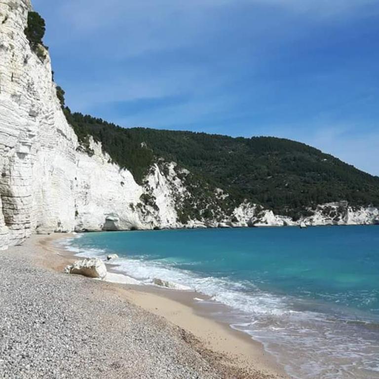 Villetta Danila Pugnochiuso Le Macine - Casa con 1 Camera da Letto - 61