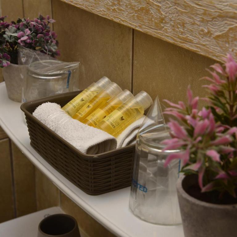 City House Apartments - Deluks Apartman s 1 Spavaćom Sobom i Pogledom na Vrt - 10