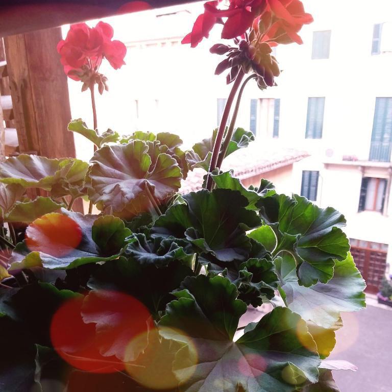 Casa Mellis Verona - Two-Bedroom Apartment - 8