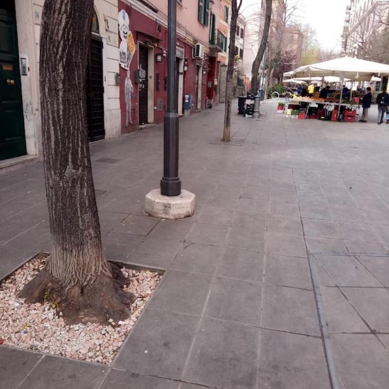 Alloggio pigneto - Monolocale - 1
