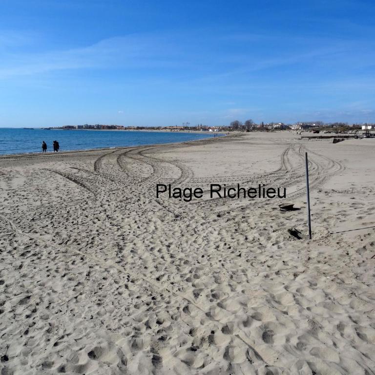 Appartement cap d'Agde 2 pièces - 4 personnes - Appartement - Vue sur Jardin - 17