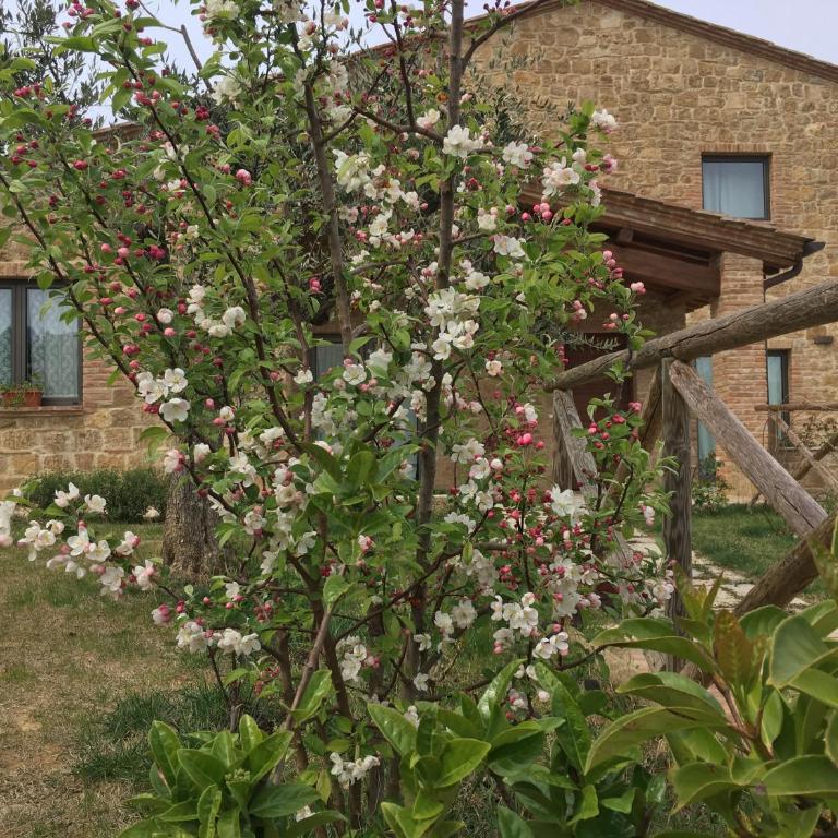 Residenza al Poggio degli Ulivi - Casa Vacanze - 5