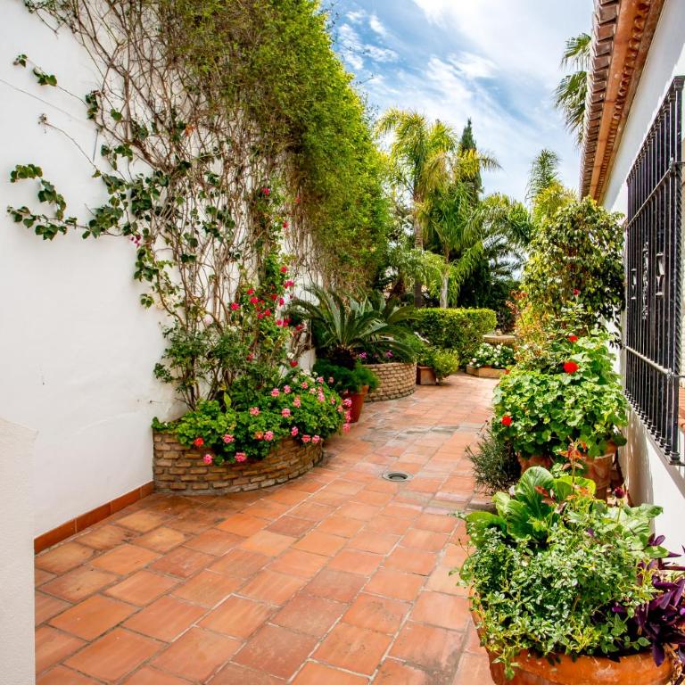 Casa Vicente - Villa - 58