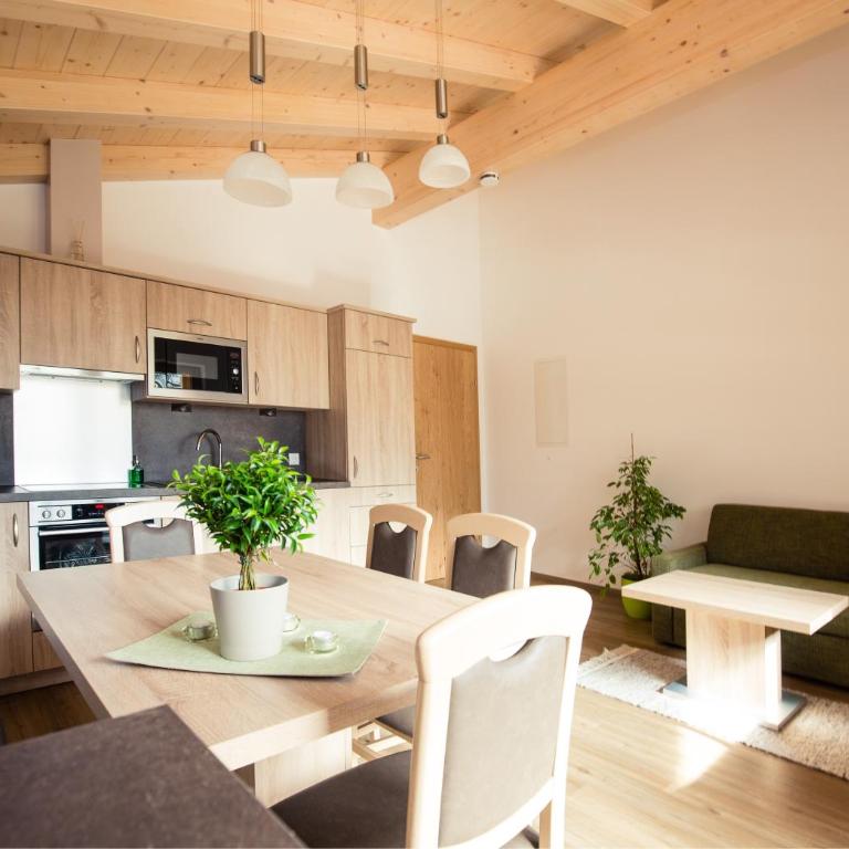 Appartemets Hauserbauer - Apartment mit 1 Schlafzimmer - 14