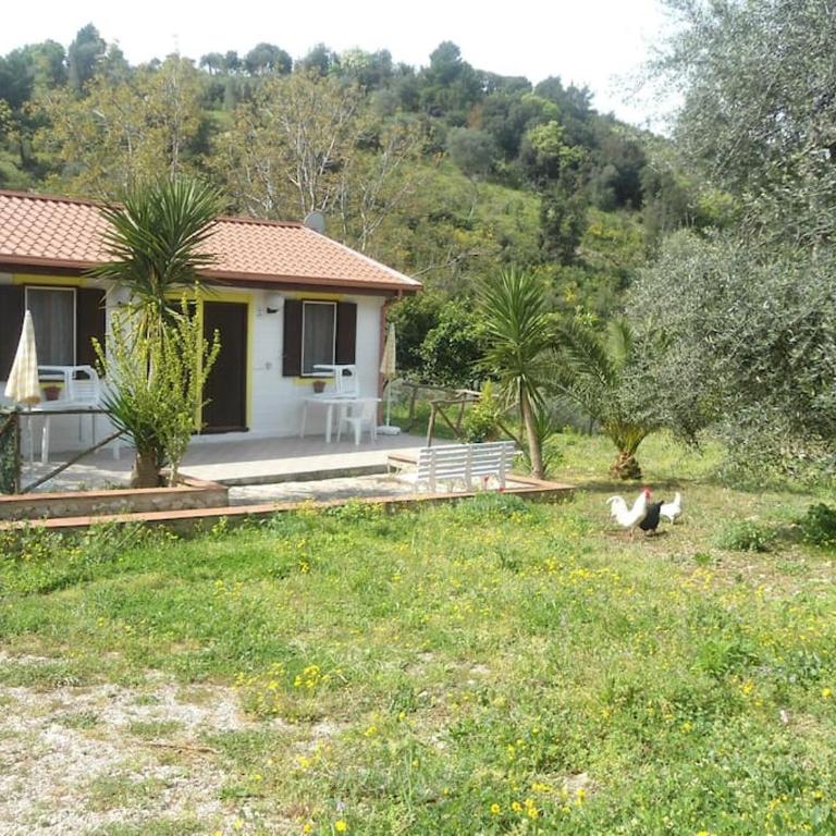 Casa Vacanze da Grazia Peschici - Appartamento con Vista Giardino - 26