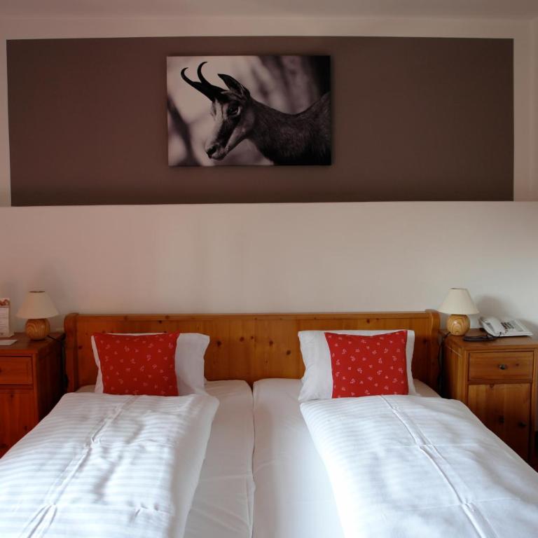 Hotel Gamshof - Doppelzimmer - 8