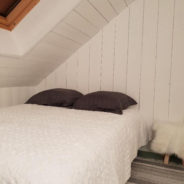 La Baie des Voiles 2 chambres 4 à 6 personnes au bord du lac plage privée - Appartement 2 Chambres - 7