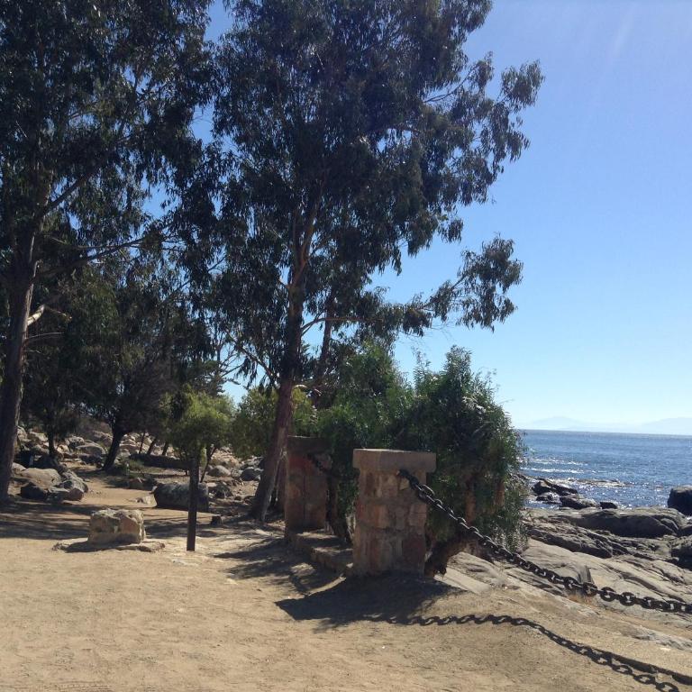 Depto. Vistamar Oriente - Apartamento Estándar - 11