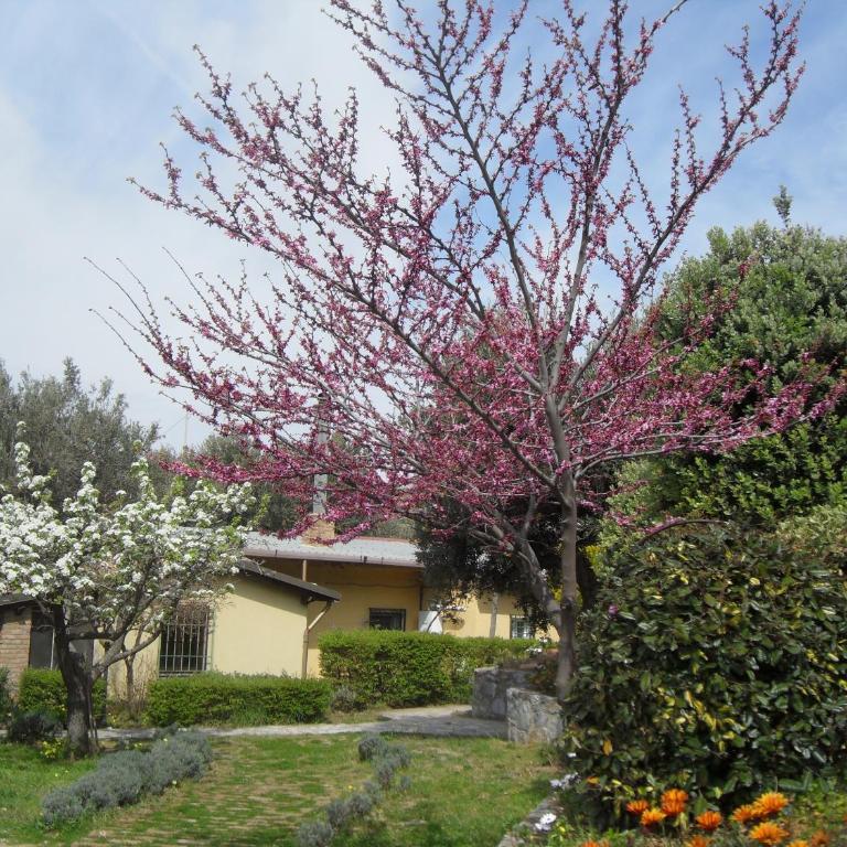 Locazione Turistica Casa in Campagna - Appartamento con 2 Camere da Letto - 9