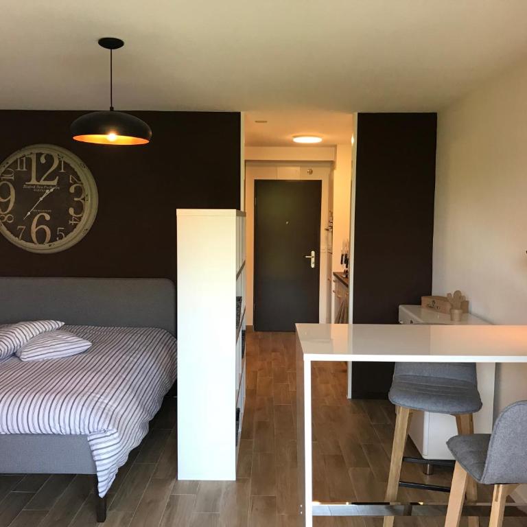 Large Studio Near Epfl And Lausanne City Center - Apartment - 1
