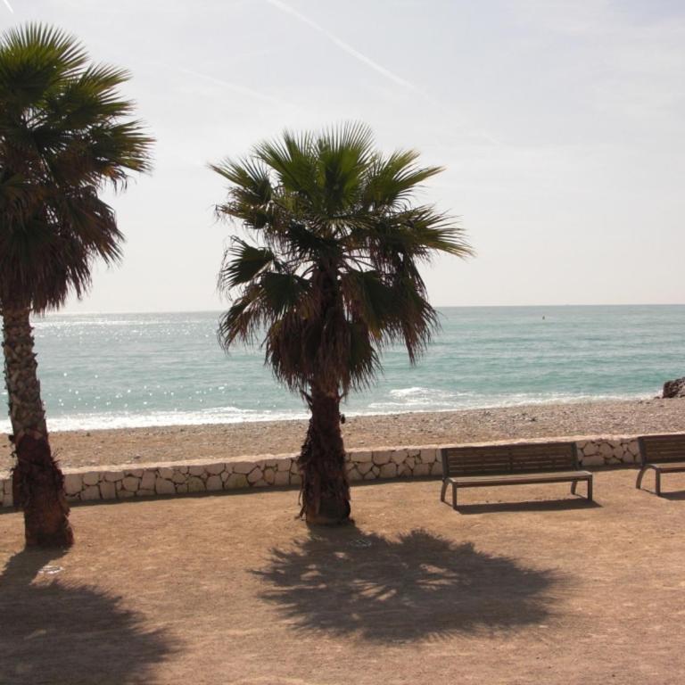 Agréable appartement 4 personnes à Villeneuve-Loubet Plage, piscine, mer, commerces à proximité - Apartamento con vistas a la piscina - 17