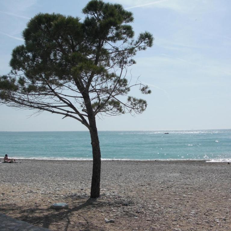 Agréable appartement 4 personnes à Villeneuve-Loubet Plage, piscine, mer, commerces à proximité - Apartamento con vistas a la piscina - 20