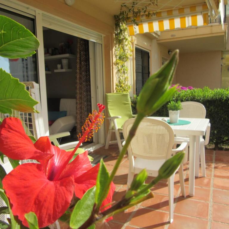 CARIHUELA BEACH - Apartamento de 1 dormitorio - 2
