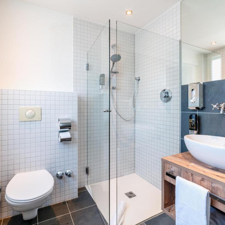 BinderS Budget City-Mountain Hotel - Deluxe Einzelzimmer - 11
