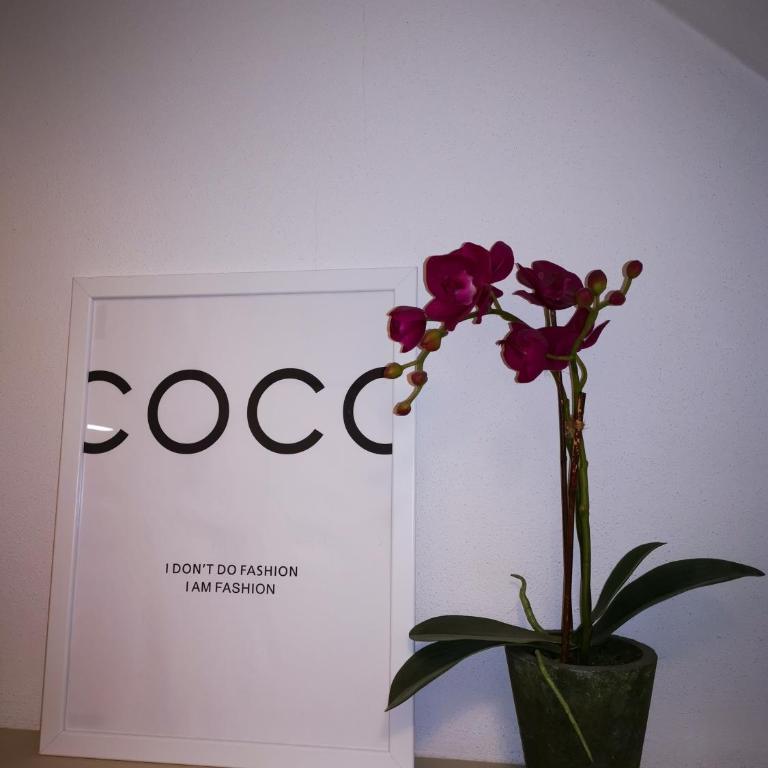 Bologna Boutique Home - Appartamento Deluxe - 28