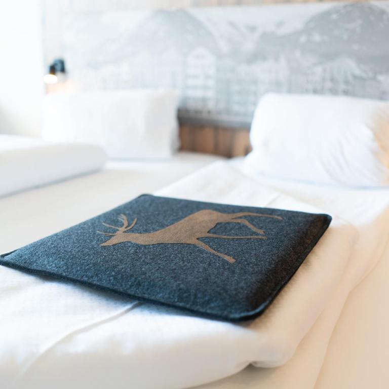 BinderS Budget City-Mountain Hotel - Business Doppelzimmer - 11