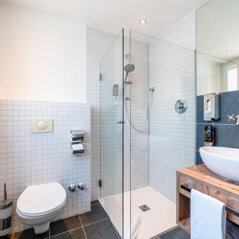 BinderS Budget City-Mountain Hotel - Deluxe Einzelzimmer - 5