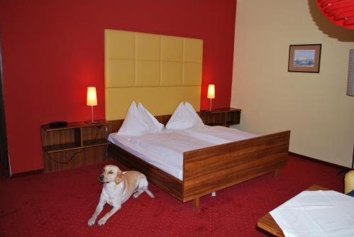 Hotel Drei Hasen - Chambre Double Standard - 4