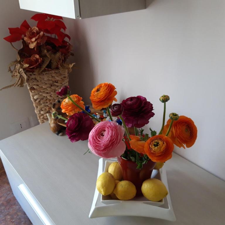 APARTMENT Aurora & Nicole IDEAL per bike 1 free parkings large e wi-fi free e x family mtb climbing con terazza vista mare - Appartamento con Balcone - 23
