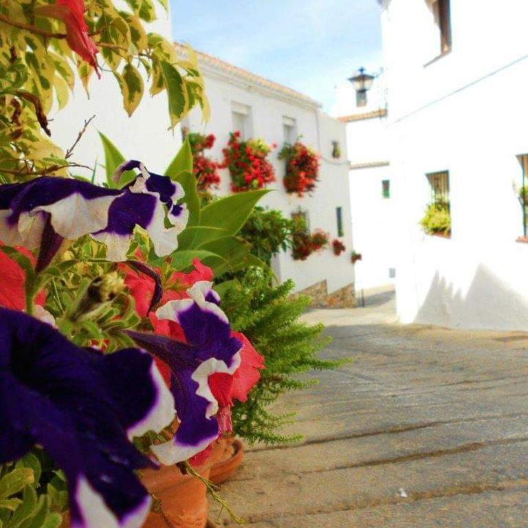 Valleverde Apartment - Apartamento - Planta baja - 10