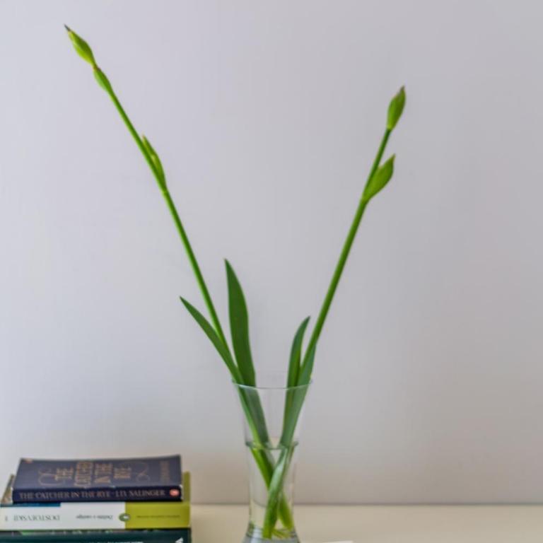 Casa Floriana - Apartment - 36