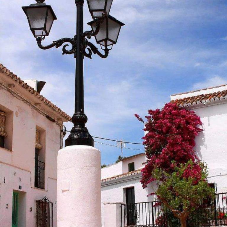 Valleverde Apartment - Apartamento - Planta baja - 4