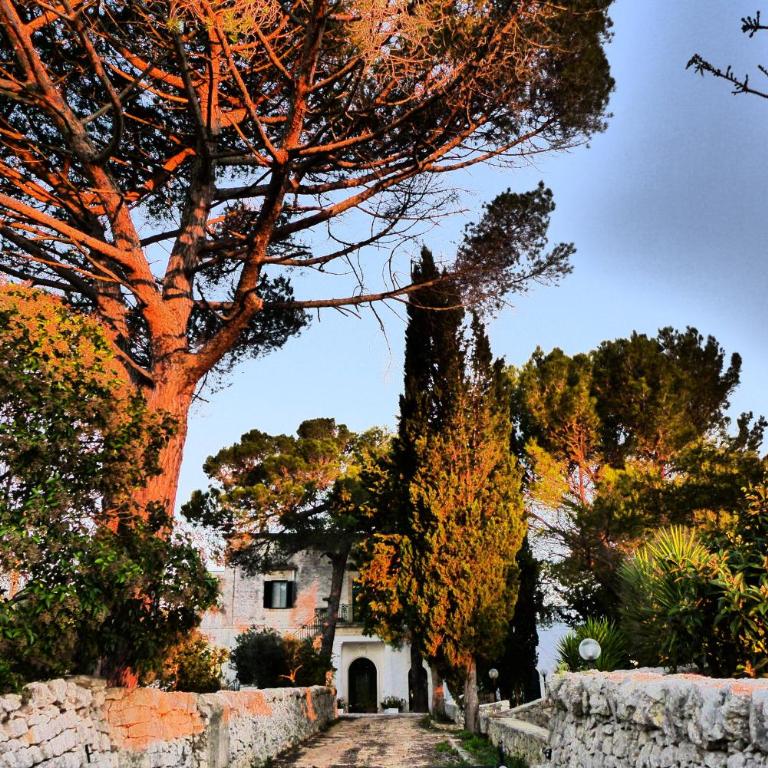 Masseria Serafino Ostuni open Space Aladino - Vacation Home - 39