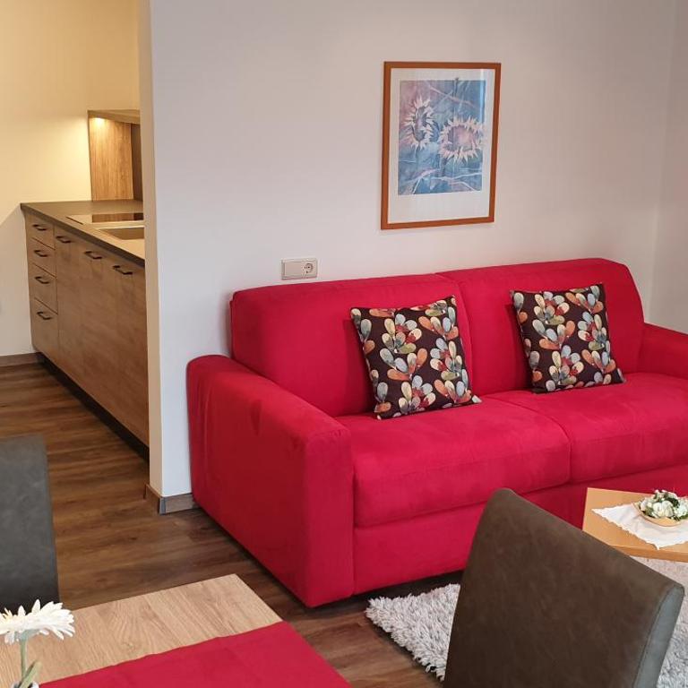 Appartements Dornach - Appartamento con 1 Camera da Letto - 5