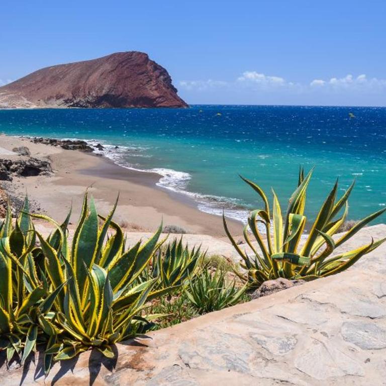 Penthouse El Mirador Los Cristianos Tenerife - VV - Casa con 1 dormitorio - 83