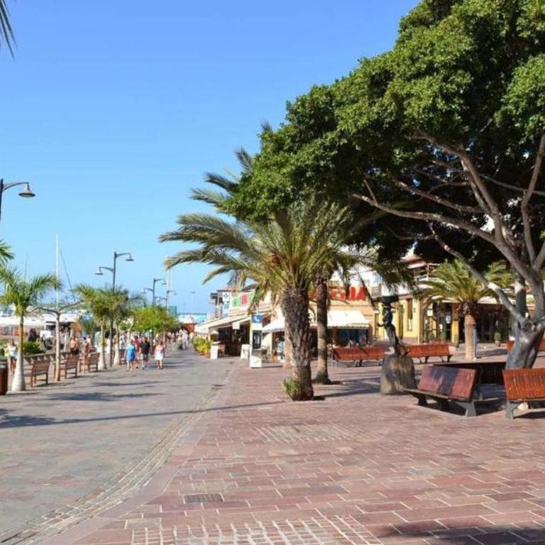 Penthouse El Mirador Los Cristianos Tenerife - VV - Casa con 1 dormitorio - 80