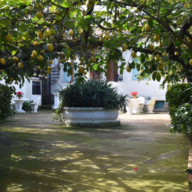 casa dei limoni - Appartamento con 1 Camera da Letto - 4