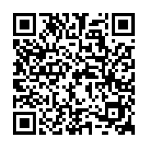 RELAX INN VATICAN - Appartamento con 3 Camere da Letto - 27