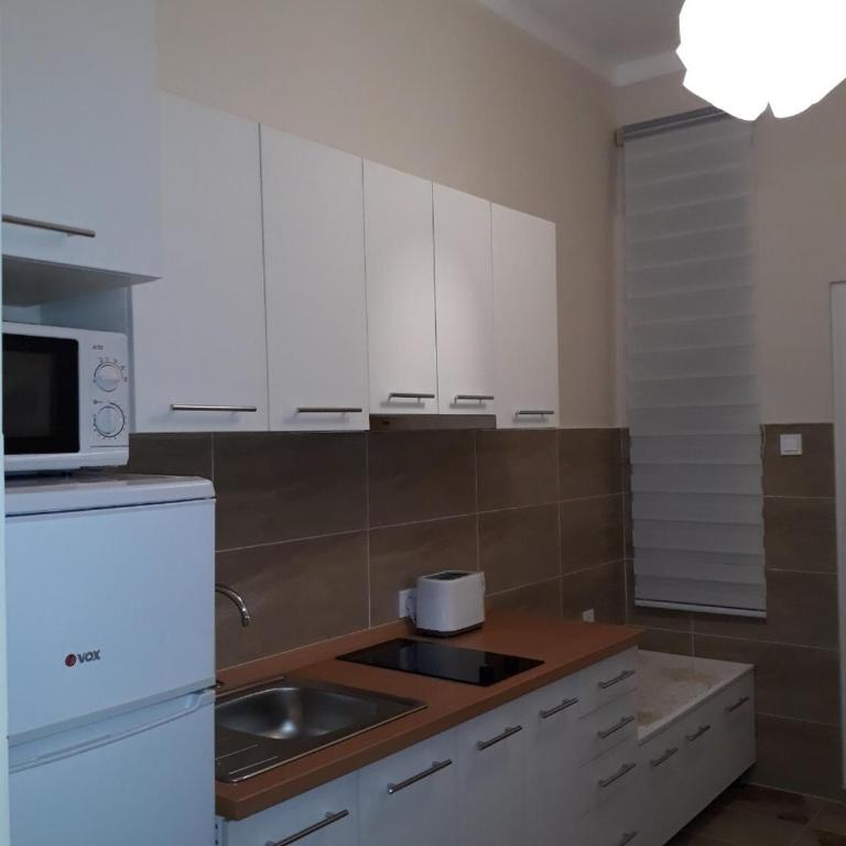 Belgrade 1911 apartment - Apartman sa 1 Spavaćom Sobom - 9
