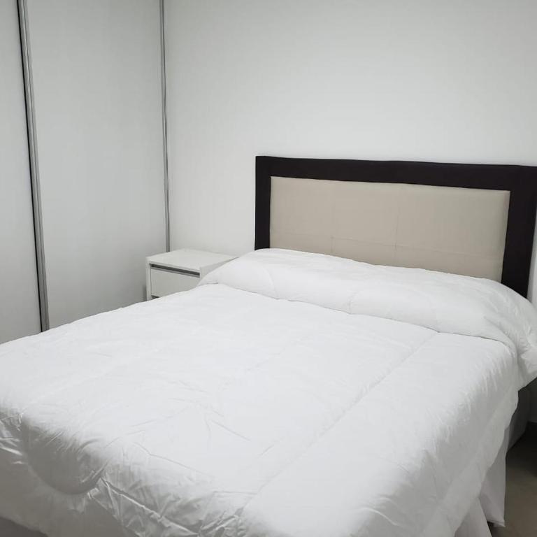 Departamento Centrico - Apartment with Terrace - 4