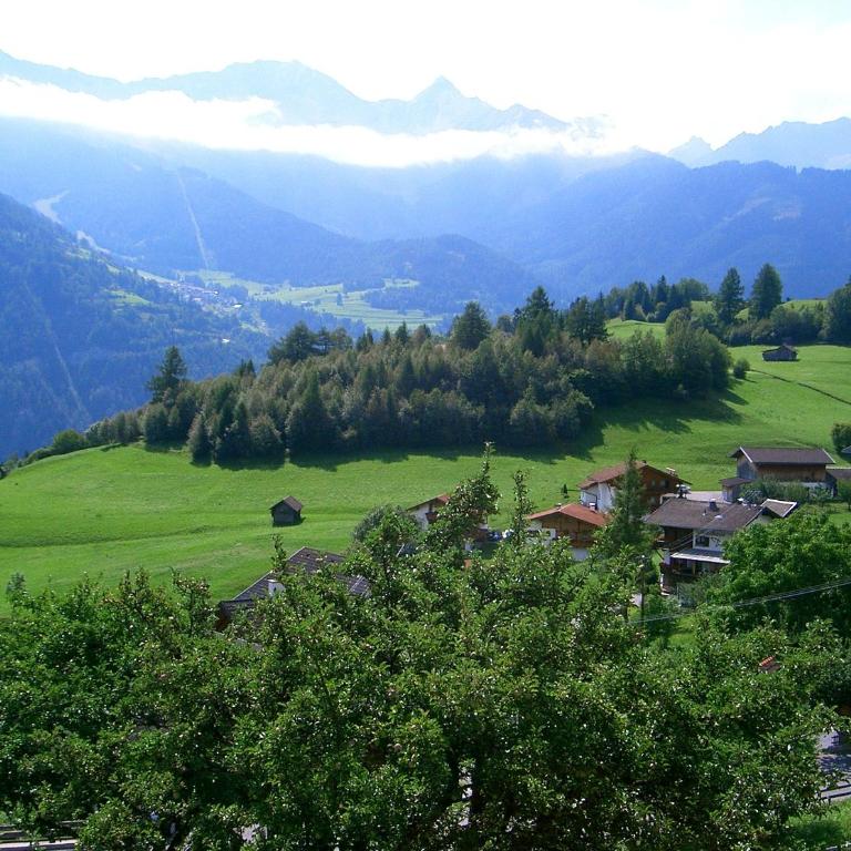 Haus Erhart - Appartamento Superior - 5