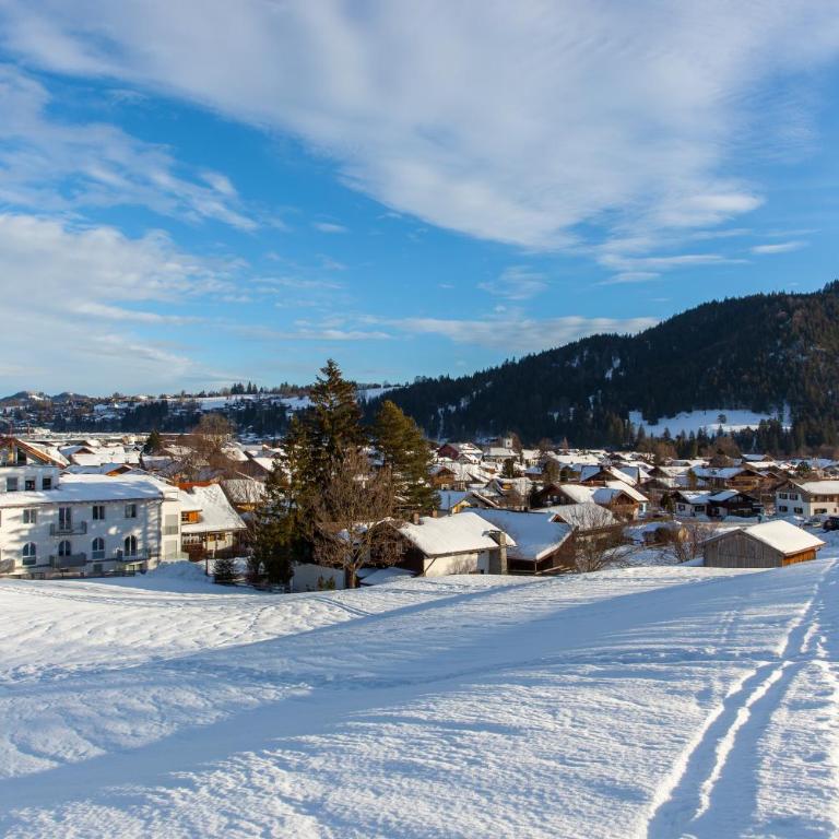 Chalet-Pfronten - Apartment mit Blick auf die Berge - 24